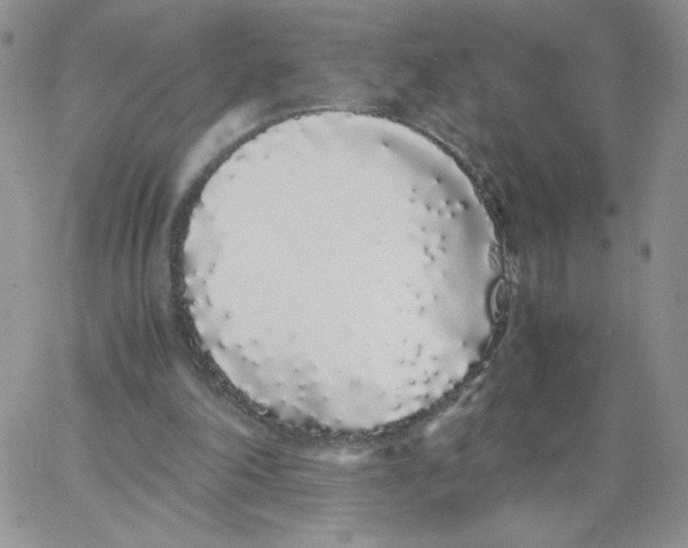 X0000062900198200602031840