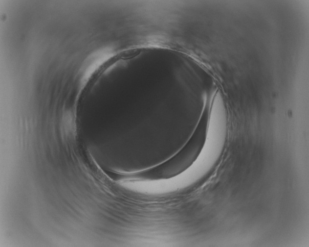 X0000062900200200602031840