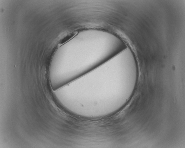 X0000062900201200602031840