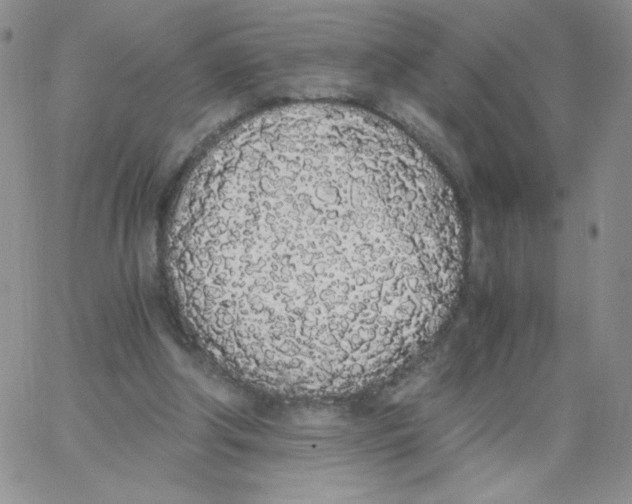 X0000062900202200602031840