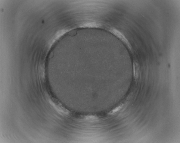 X0000062900204200602031840