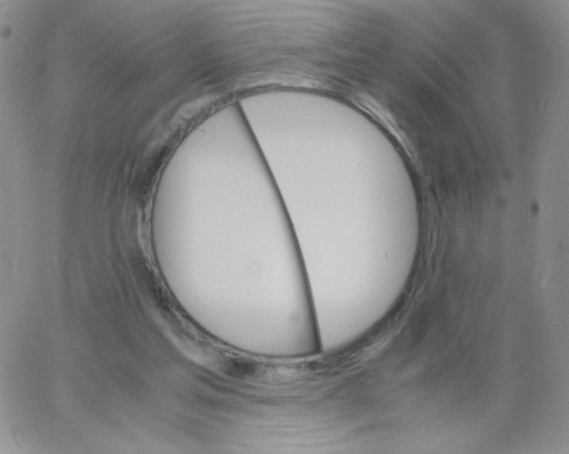 X0000062900205200602031840