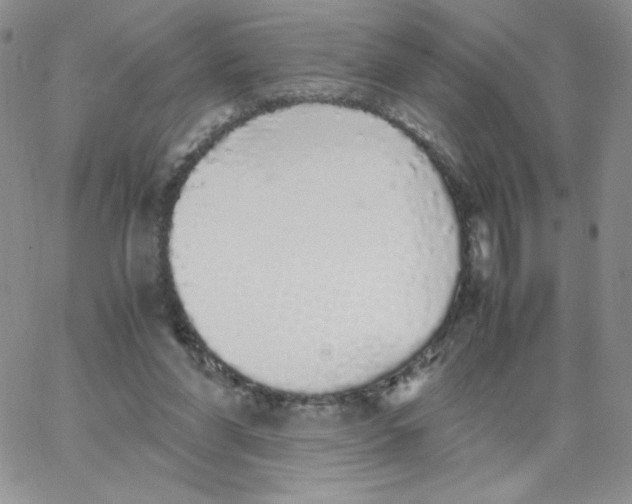 X0000062900206200602031840