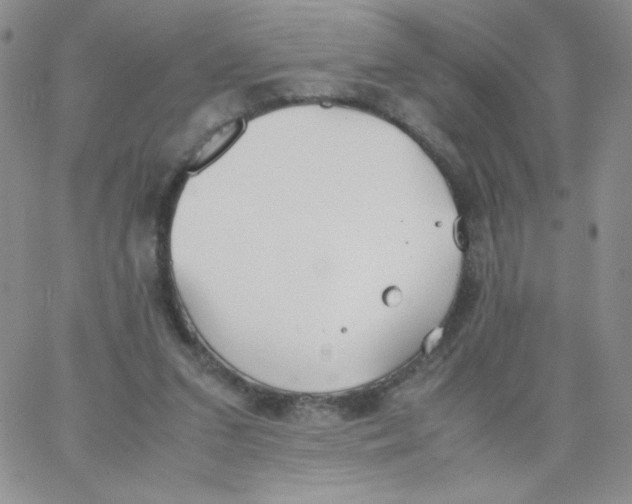 X0000062900207200602031840