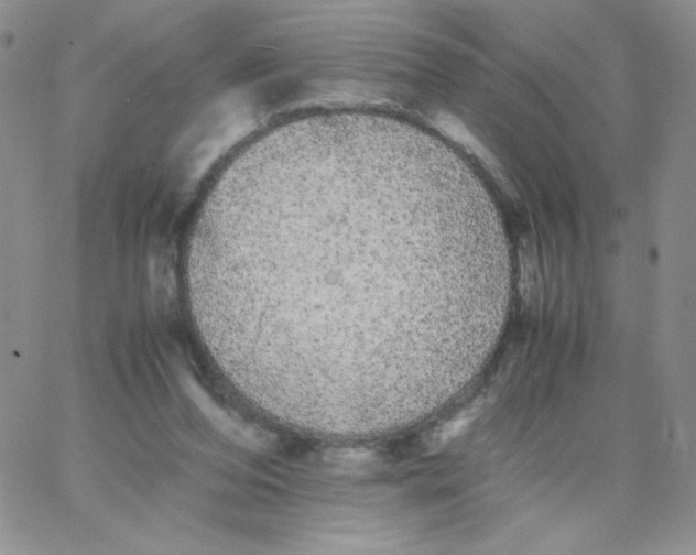 X0000062900208200602031840