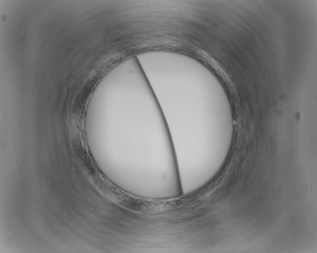 X0000062900209200602031840