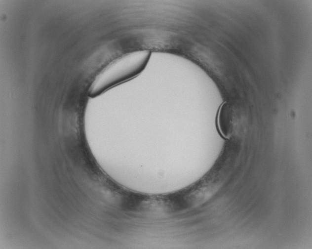 X0000062900211200602031840