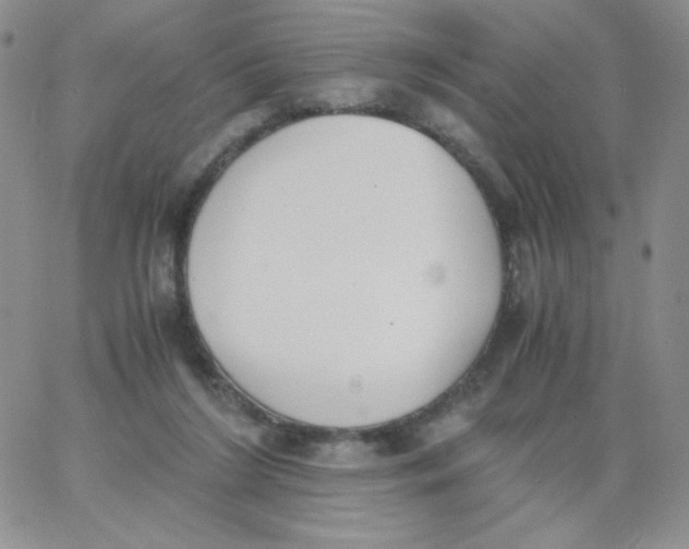 X0000062900212200602031840