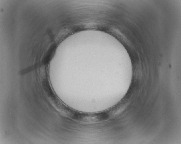 X0000062900213200602031840