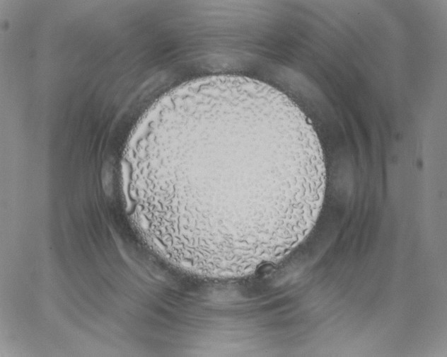 X0000062900214200602031840