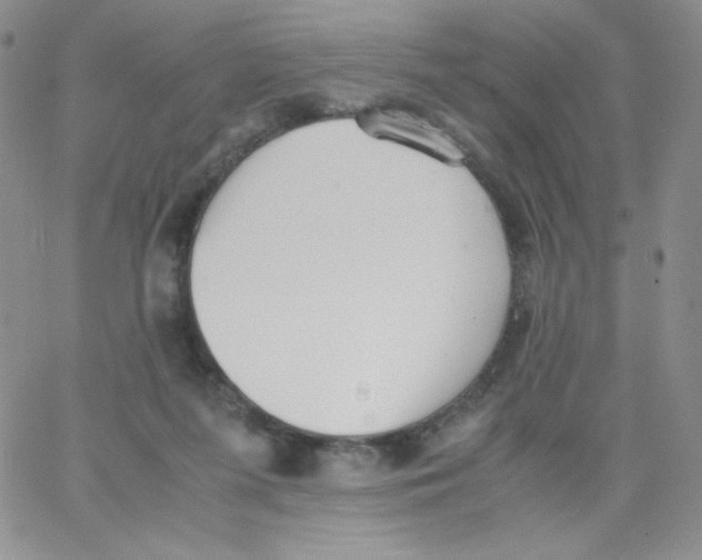 X0000062900215200602031840