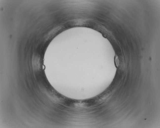 X0000062900216200602031840