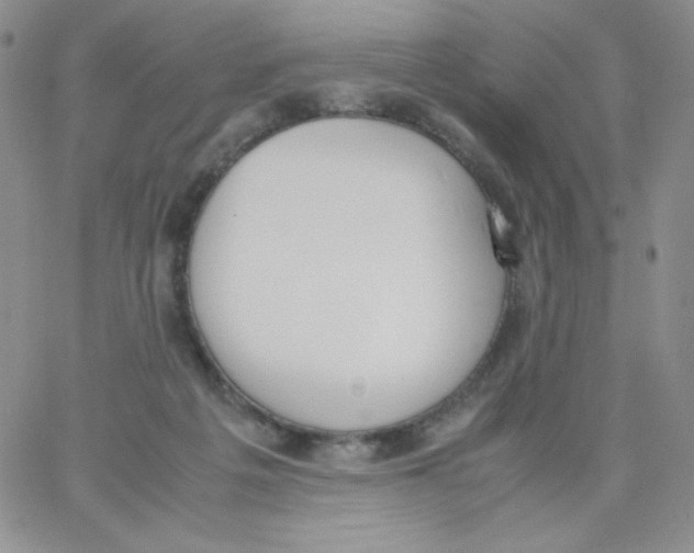 X0000062900217200602031840