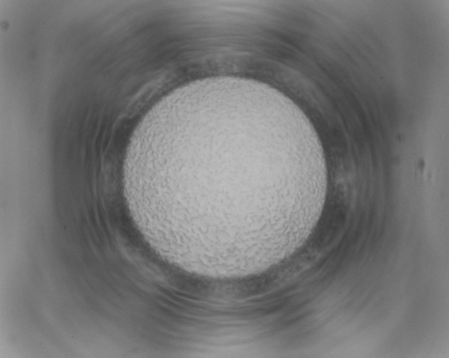 X0000062900218200602031840