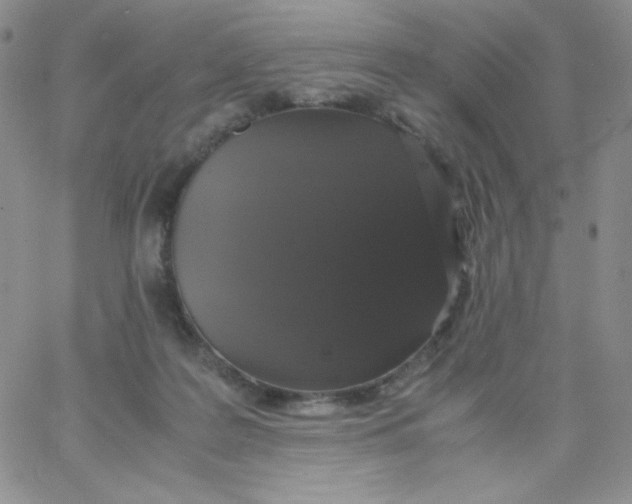 X0000062900219200602031840