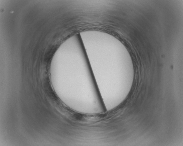 X0000062900221200602031840