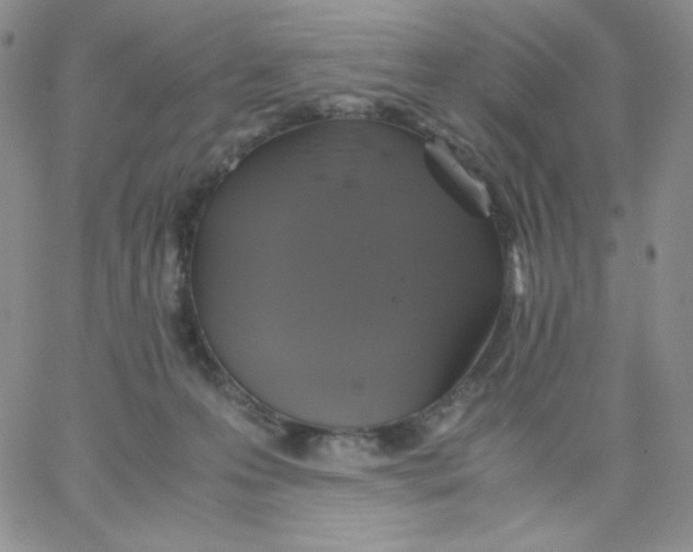 X0000062900223200602031840