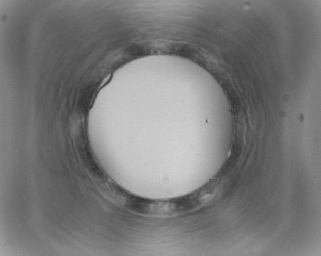 X0000062900225200602031840