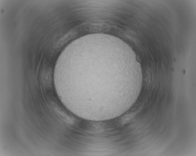 X0000062900226200602031840