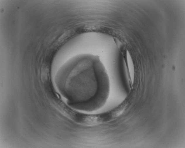 X0000062900227200602031840