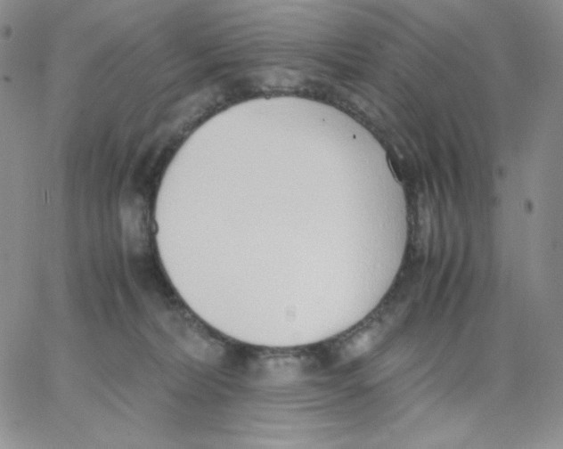 X0000062900228200602031840