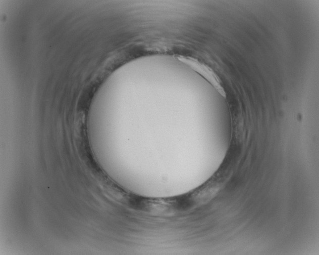 X0000062900229200602031840