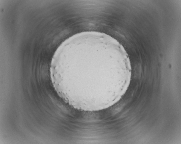 X0000062900230200602031840