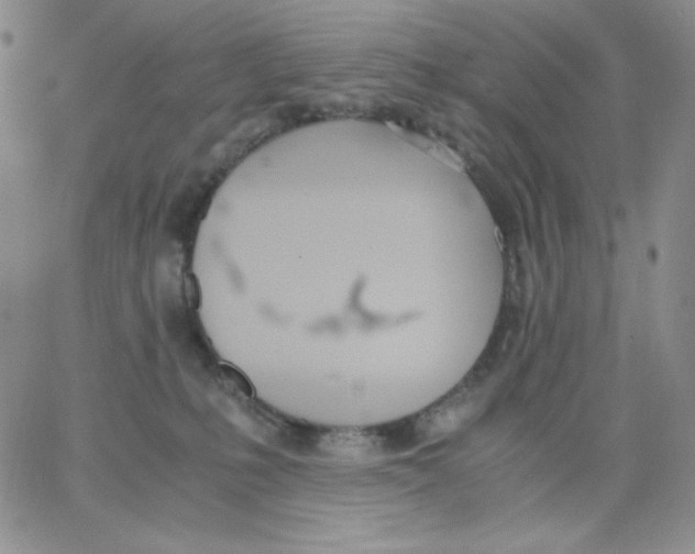 X0000062900231200602031840