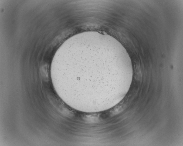 X0000062900232200602031840