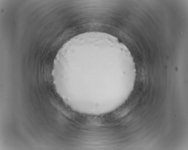 X0000062900234200602031840