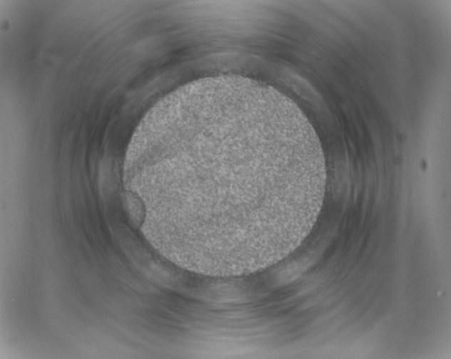 X0000062900236200602031840