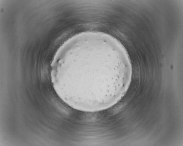 X0000062900238200602031840