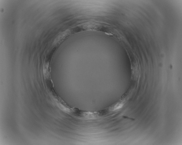 X0000062900239200602031840