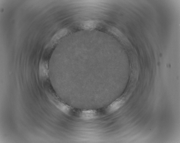 X0000062900240200602031840