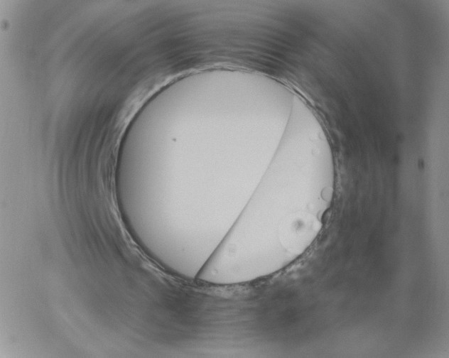 X0000062900241200602031839