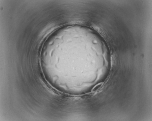 X0000062900243200602031839