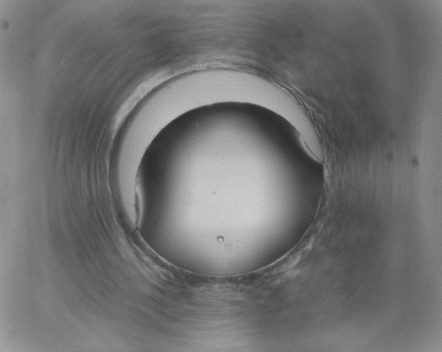 X0000062900244200602031839