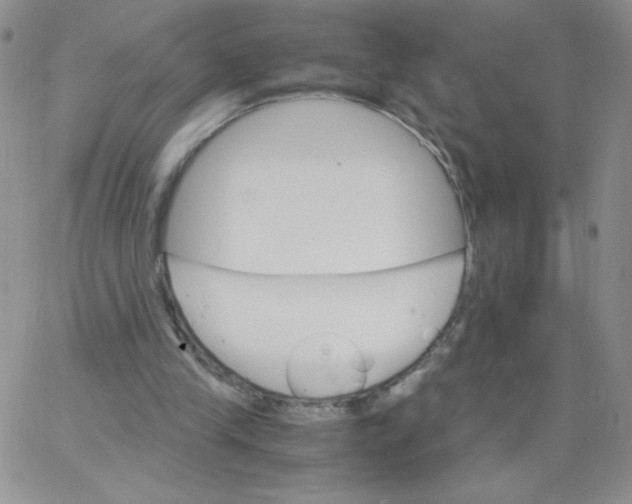 X0000062900245200602031839