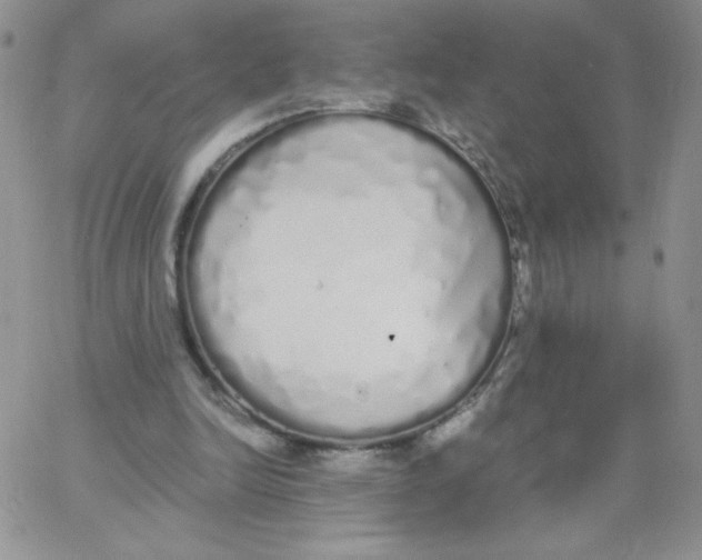 X0000062900246200602031839