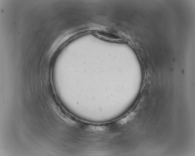 X0000062900247200602031839