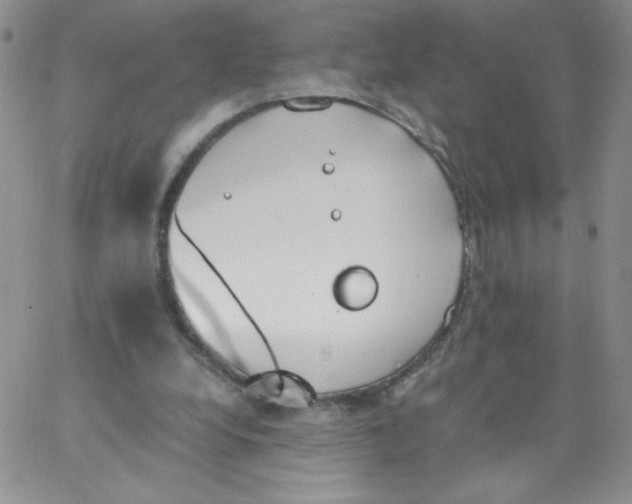 X0000062900248200602031839