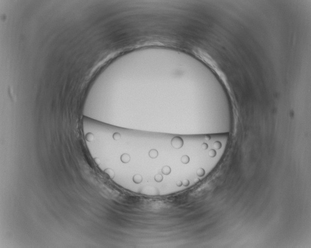 X0000062900249200602031839