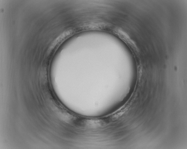 X0000062900250200602031839