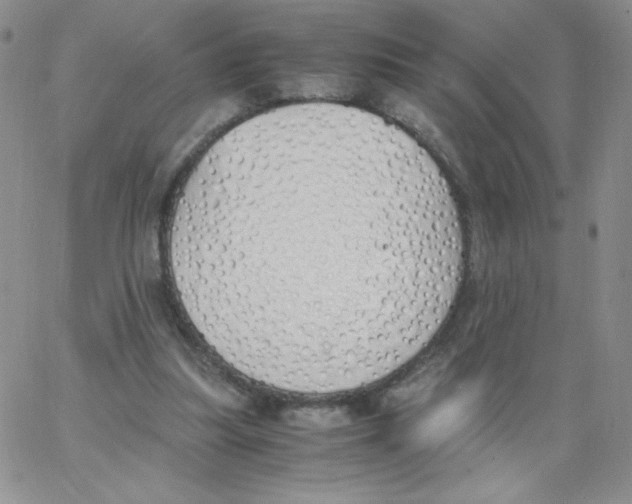 X0000062900251200602031839