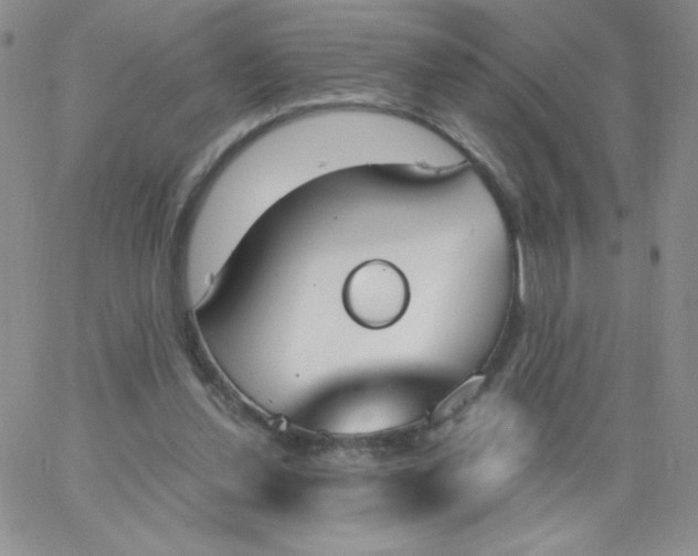 X0000062900252200602031839