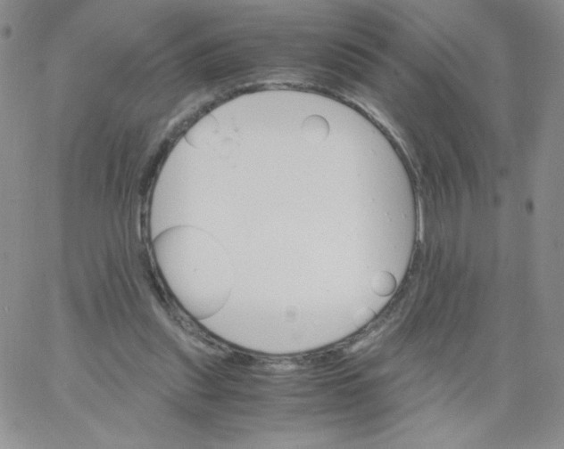 X0000062900253200602031839