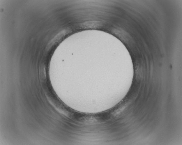 X0000062900254200602031839