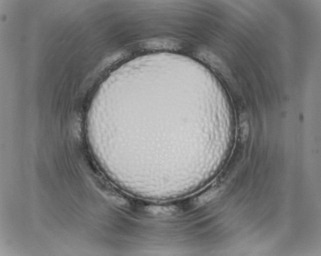 X0000062900255200602031839