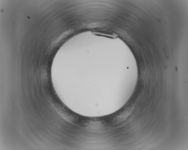 X0000062900256200602031839