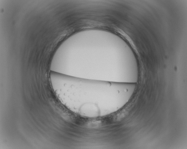 X0000062900257200602031839